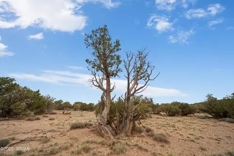 4189 Sorrel Rd, Snowflake, AZ 85937 photo 9