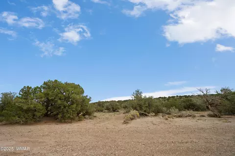4189 Sorrel Rd, Snowflake, AZ 85937 photo 10
