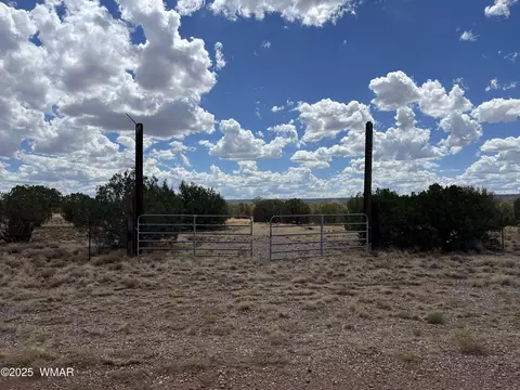 4498 S Pinto Rd, Snowflake, AZ 85937