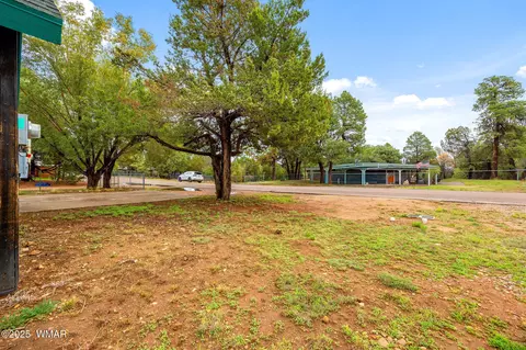 Other - 3390 Apache Dr, Overgaard, AZ 85933 photo 4 of 8