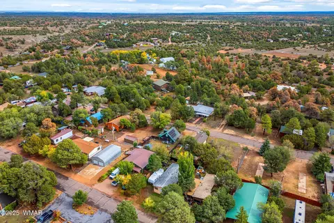 View/Area - 3390 Apache Dr, Overgaard, AZ 85933 photo 2 of 5