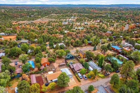 View/Area - 3390 Apache Dr, Overgaard, AZ 85933 photo 3 of 5