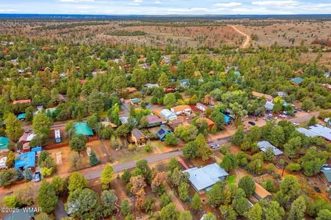 View/Area - 3390 Apache Dr, Overgaard, AZ 85933 photo 4 of 5
