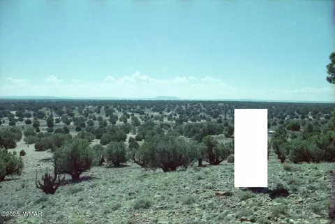 27 N 9204, Concho, AZ 85924