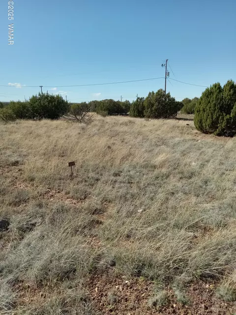 1794 Fox Cir, Show Low, AZ 85901