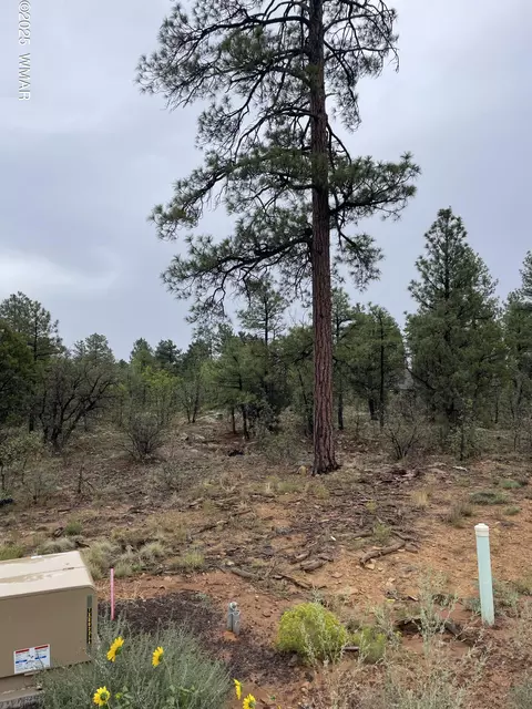 650 S Pine Haven Dr, Show Low, AZ 85901