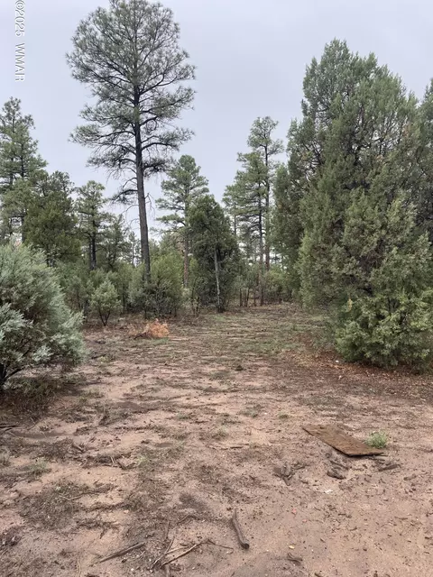 720 S Mountain Pines Ave, Show Low, AZ 85901
