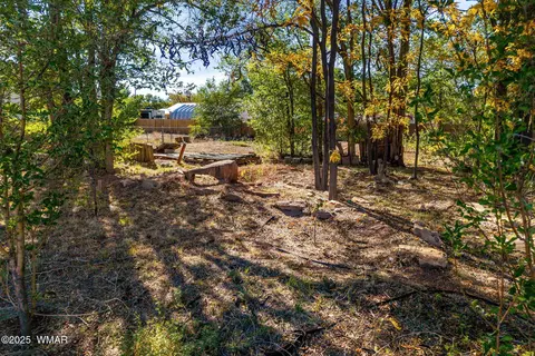 00 N Zuni St, Springerville, AZ 85938