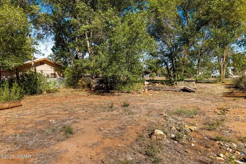 00 N Zuni St, Springerville, AZ 85938 photo 4