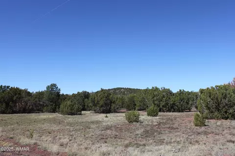 22 Co Rd 3191, Vernon, AZ 85940