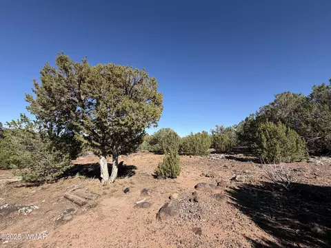 4 Pinon, Concho, AZ 85924 photo 2