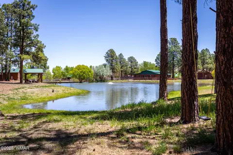 View/Area - 2728 Bain Trl, Overgaard, AZ 85933 photo 7 of 15