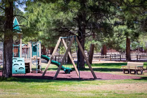 Other - 2728 Bain Trl, Overgaard, AZ 85933 photo 20 of 26