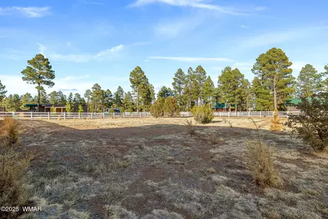 Exterior - 2728 Bain Trl, Overgaard, AZ 85933 photo 14 of 15