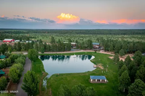 View/Area - 2728 Bain Trl, Overgaard, AZ 85933 photo 15 of 15