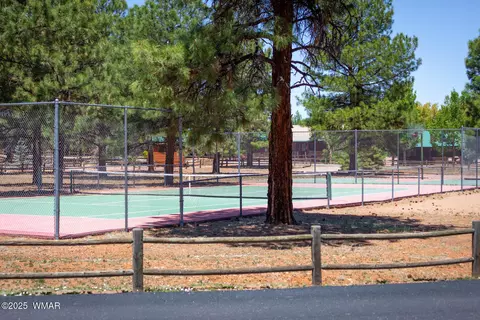 Other - 2728 Bain Trl, Overgaard, AZ 85933 photo 24 of 26
