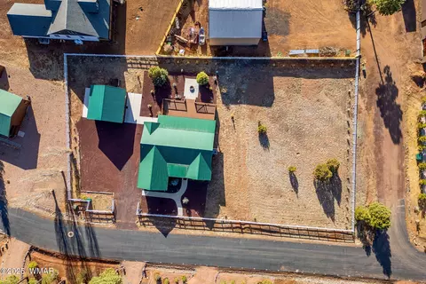 View/Area - 2728 Bain Trl, Overgaard, AZ 85933 photo 3 of 15