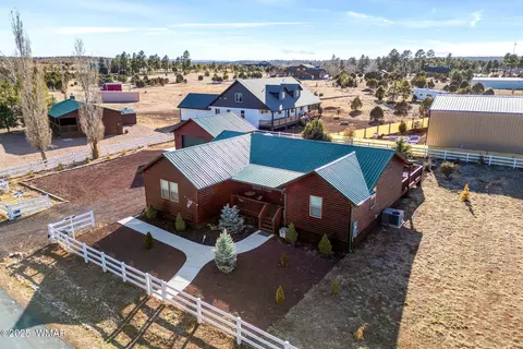 View/Area - 2728 Bain Trl, Overgaard, AZ 85933 photo 4 of 15