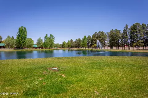 View/Area - 2728 Bain Trl, Overgaard, AZ 85933 photo 8 of 15