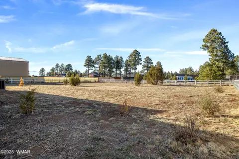 Exterior - 2728 Bain Trl, Overgaard, AZ 85933 photo 13 of 15