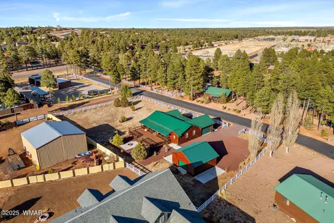 View/Area - 2728 Bain Trl, Overgaard, AZ 85933 photo 5 of 15