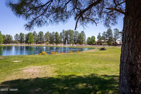 View/Area - 2728 Bain Trl, Overgaard, AZ 85933 photo 9 of 15