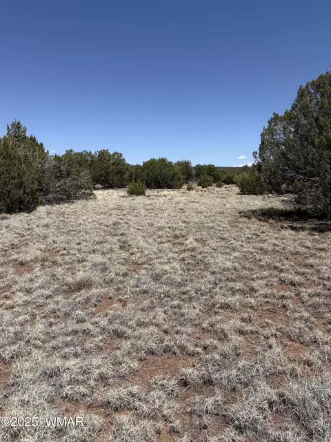 29 County Road 8339 # A, Concho, AZ 85924