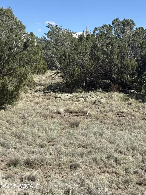 29 County Road 8339 # A, Concho, AZ 85924 photo 6