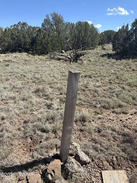 29 County Road 8339 # A, Concho, AZ 85924 photo 5
