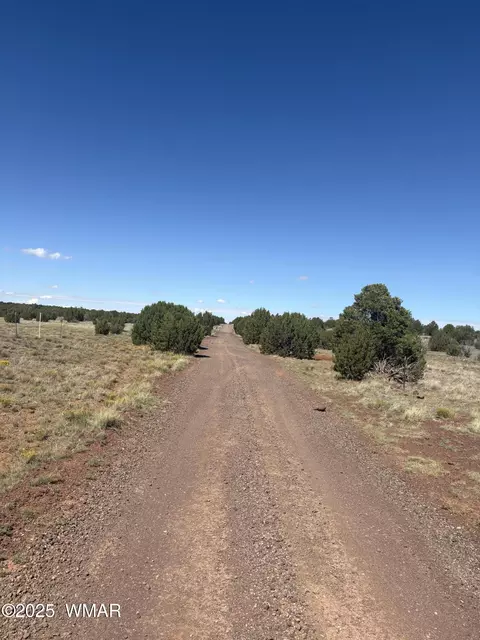 29 County Road 8339 # A, Concho, AZ 85924 photo 4
