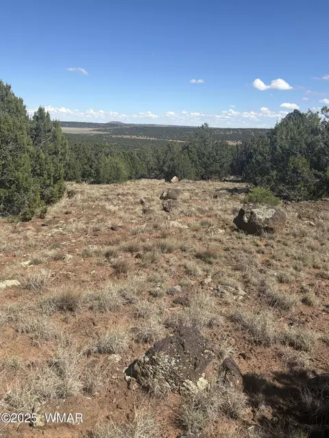 29 County Road 8339 # A, Concho, AZ 85924 photo 3