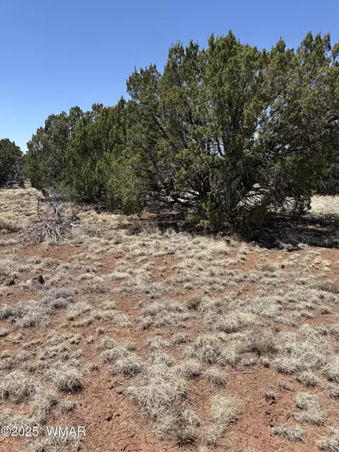 29 County Road 8339 # A, Concho, AZ 85924 photo 2