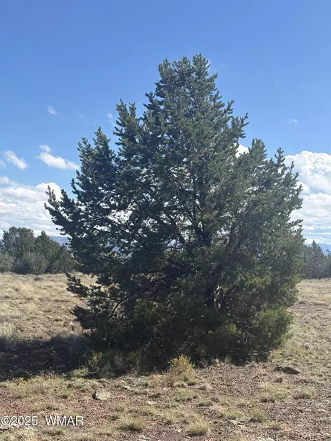 29 County Road 8339 # A, Concho, AZ 85924