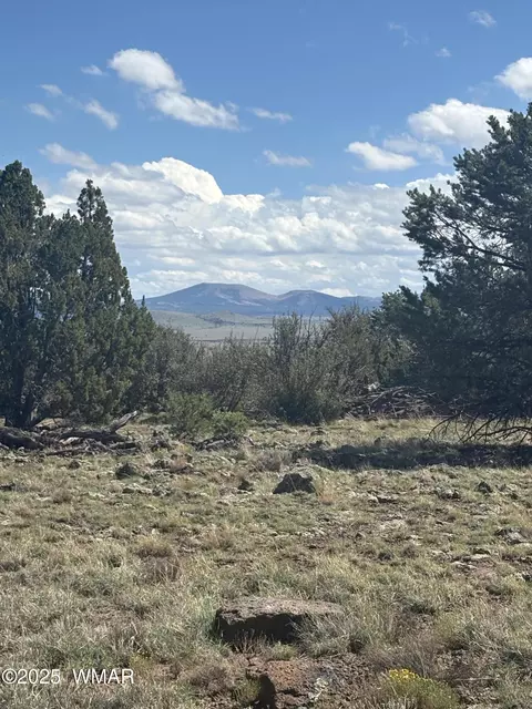 29 County Road N 8339 # B, Concho, AZ 85924