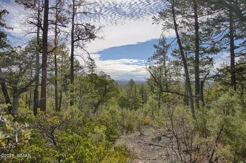 3350 W Rim Road Parcel #1, Lakeside, AZ 85929