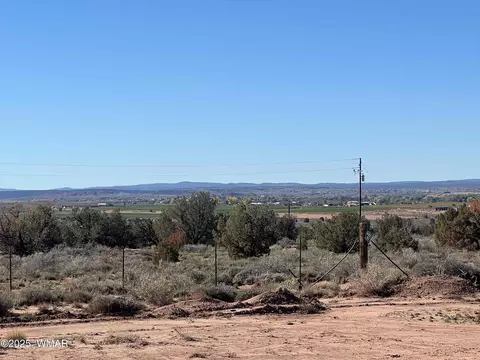 1791 E Mountain Vw, Snowflake, AZ 85937 photo 2