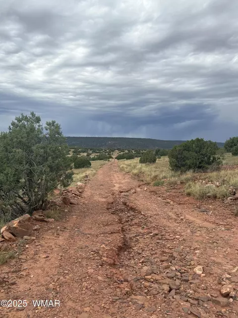 tbd N8485, Concho, AZ 85924 photo 9