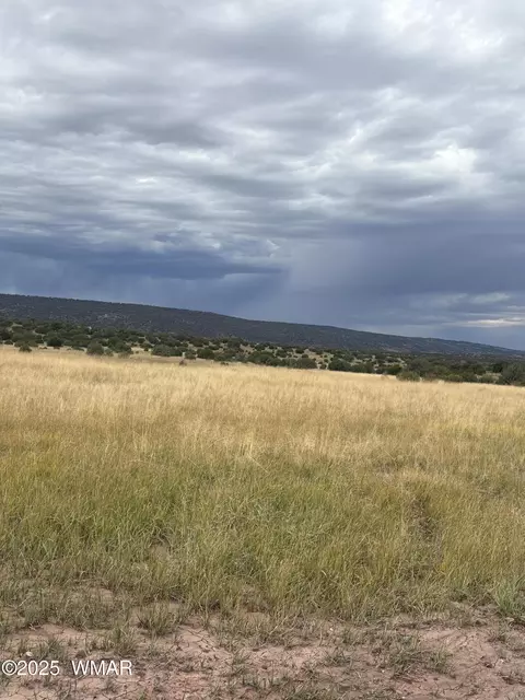 tbd N8485, Concho, AZ 85924 photo 2