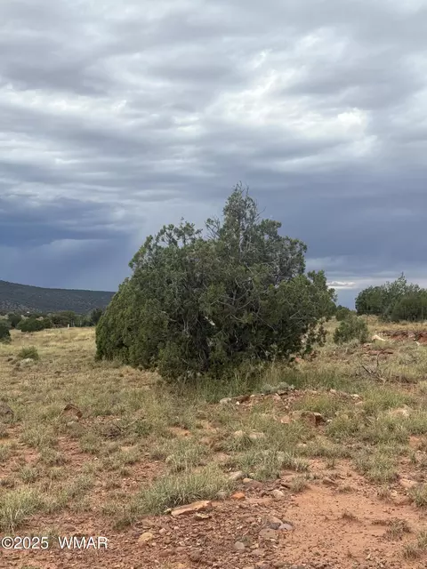 tbd N8485, Concho, AZ 85924 photo 5