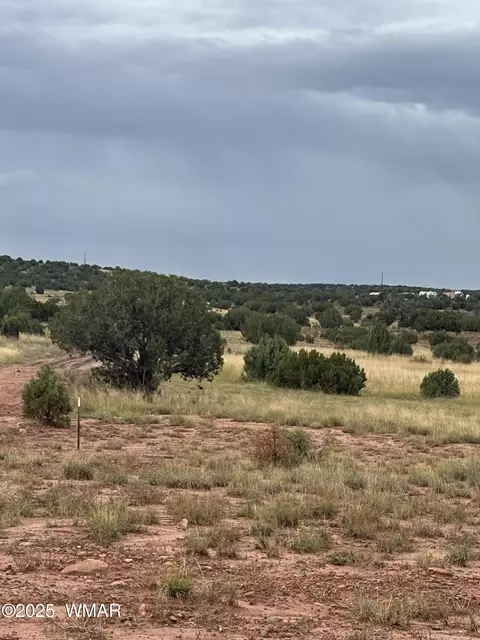 tbd N8485, Concho, AZ 85924 photo 15