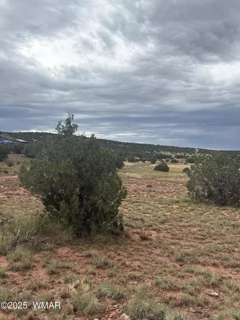 tbd N8485, Concho, AZ 85924 photo 12