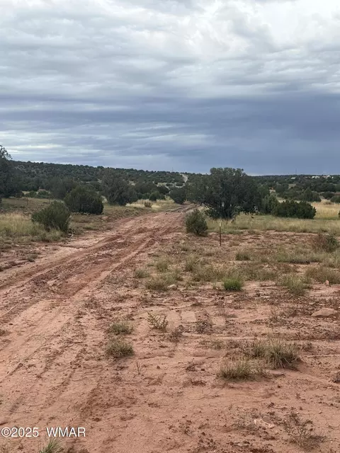 tbd N8485, Concho, AZ 85924 photo 6