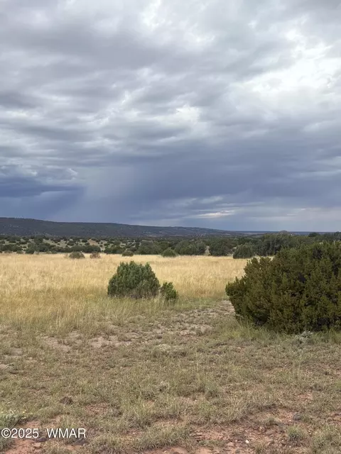 tbd N8485, Concho, AZ 85924 photo 3