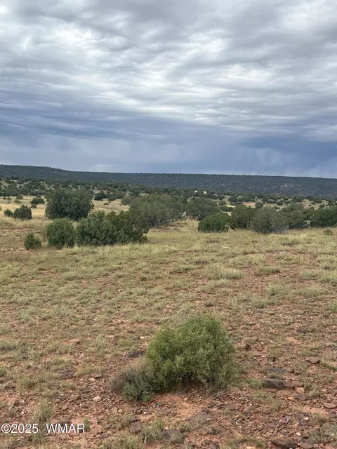 tbd N8485, Concho, AZ 85924 photo 8