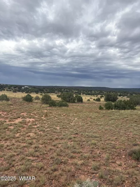 tbd N8485, Concho, AZ 85924 photo 7
