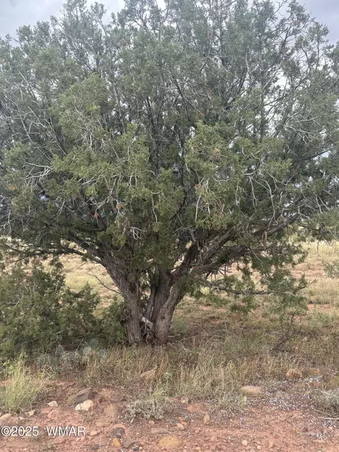 tbd N8485, Concho, AZ 85924 photo 4