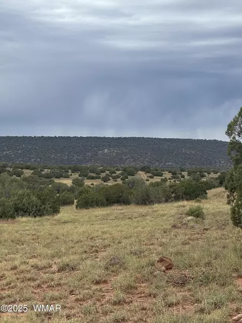 tbd N8485, Concho, AZ 85924
