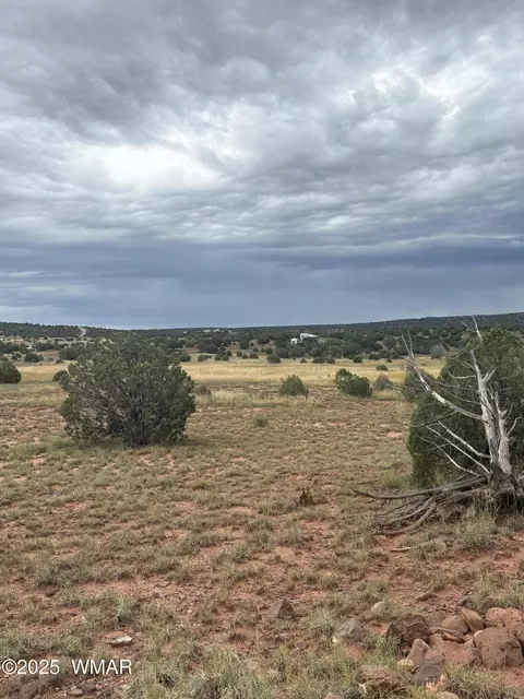 tbd N8485, Concho, AZ 85924 photo 11
