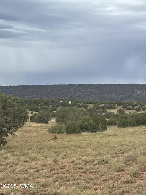 tbd N8485, Concho, AZ 85924 photo 13