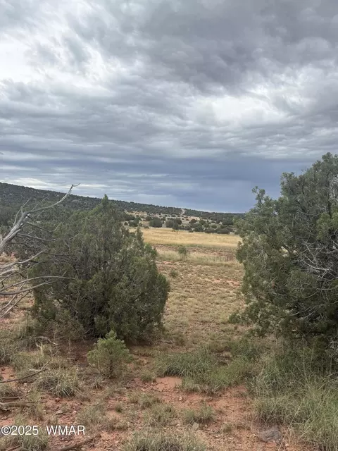 tbd N8485, Concho, AZ 85924 photo 10